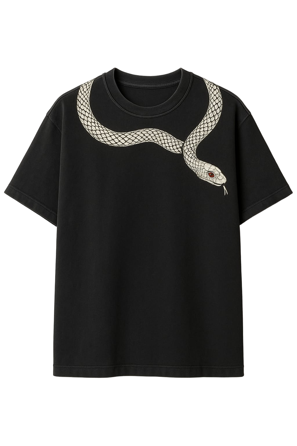 Vasthr x Serpent's Embrace: Graphic Print Oversize T-Shirt